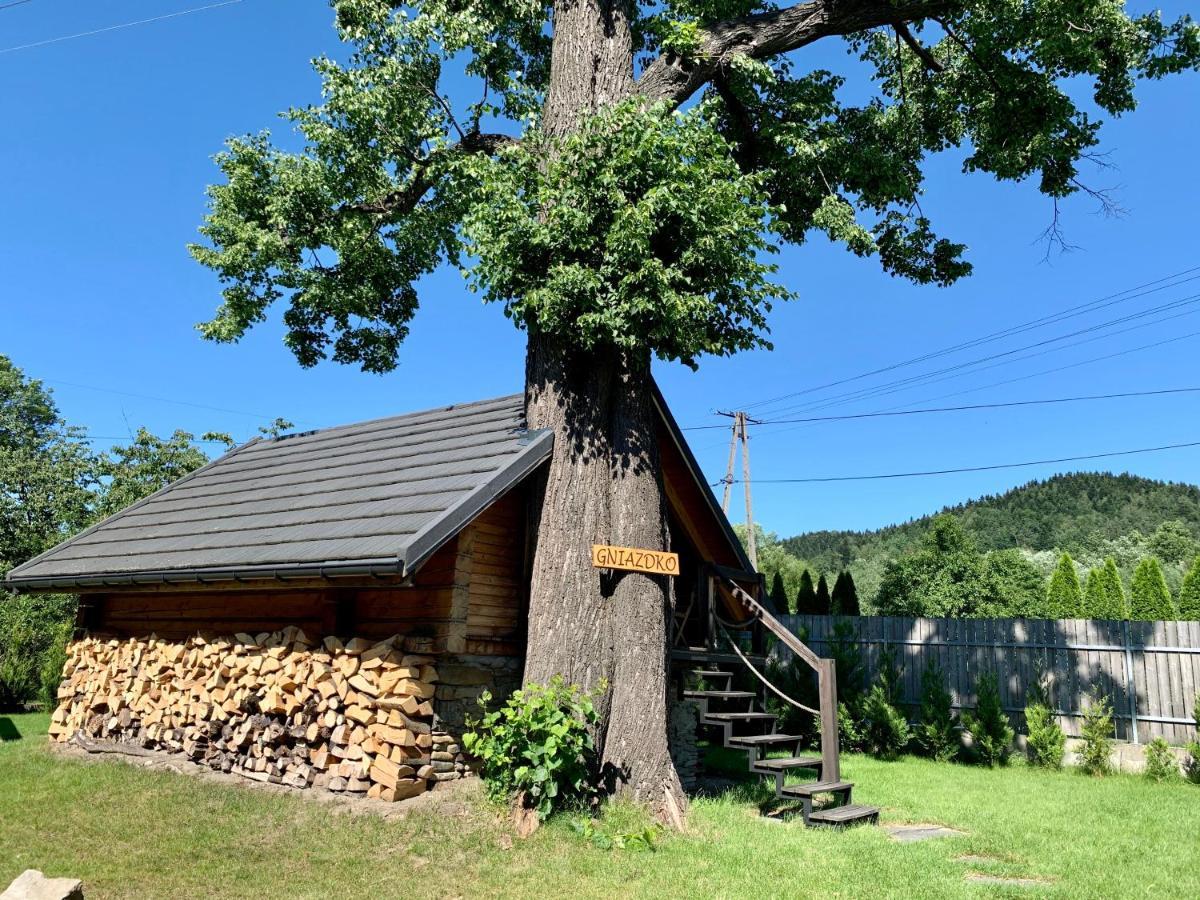 Apartament Gniazdko Pod Lipą