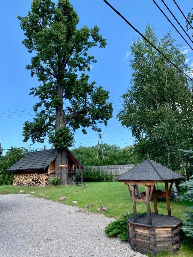 Apartment Gniazdko Pod Lipa Andrychów