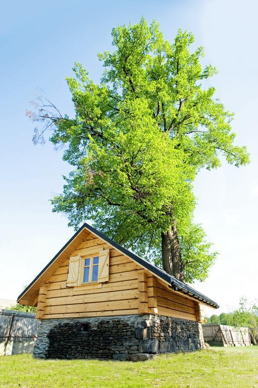 Gniazdko Pod Lipą Apartament Andrychów