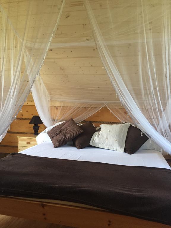 Apartament Gniazdko Pod Lipą