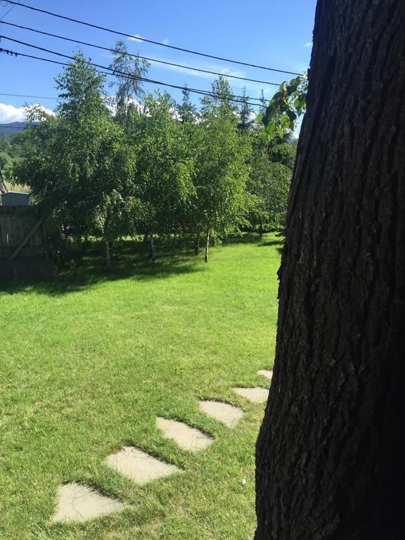 Apartament Gniazdko Pod Lipą *