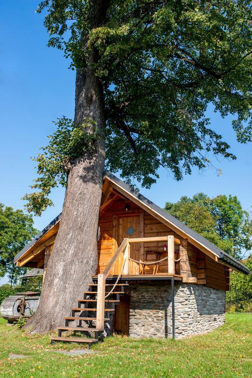 Gniazdko Pod Lipą Apartament Andrychów