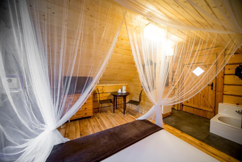 Gniazdko Pod Lipa Apartment *